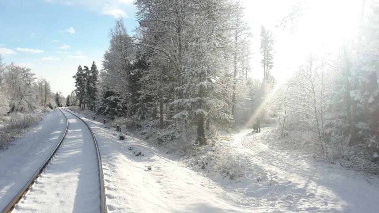 Апартаменти Tatry Fimali Татранська Ломниця Екстер'єр фото